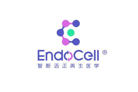 智新浩正（EndoCell）完成数千万Pre-A+轮融资