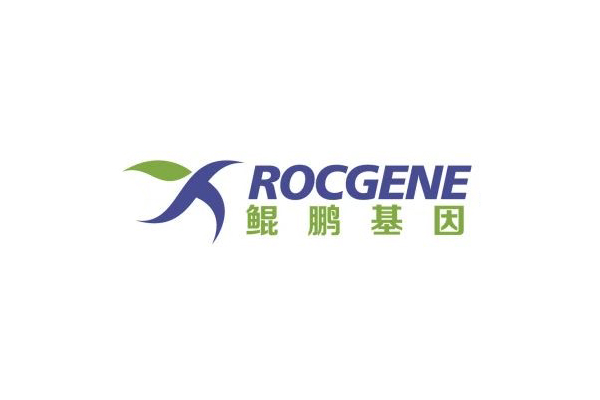 鲲鹏基因（RocGene）完成超亿元B轮融资