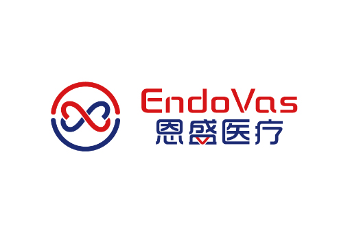 恩盛医疗（EndoVas）完成新一轮融资